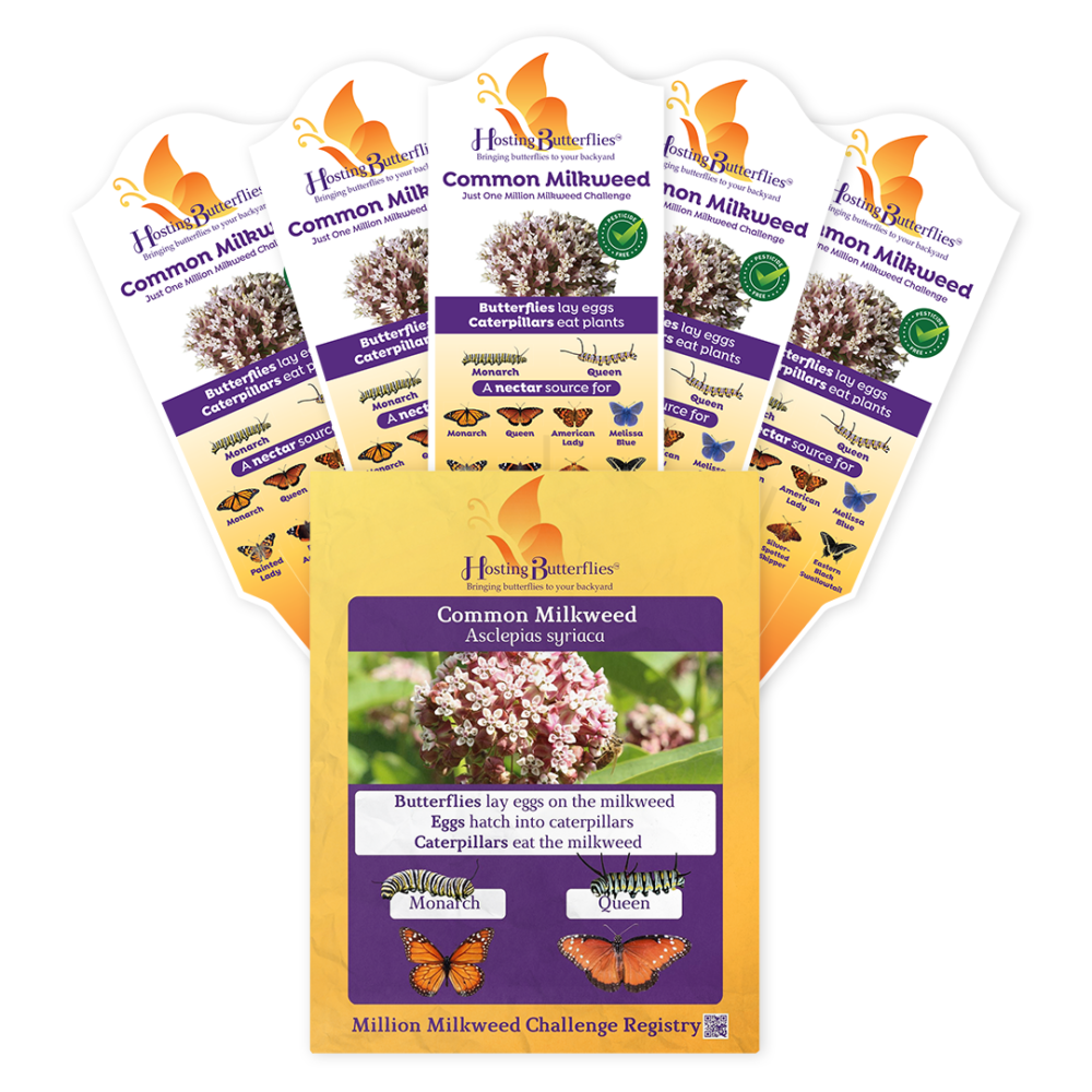 Common Milkweed Treasure Tag Seed Packs