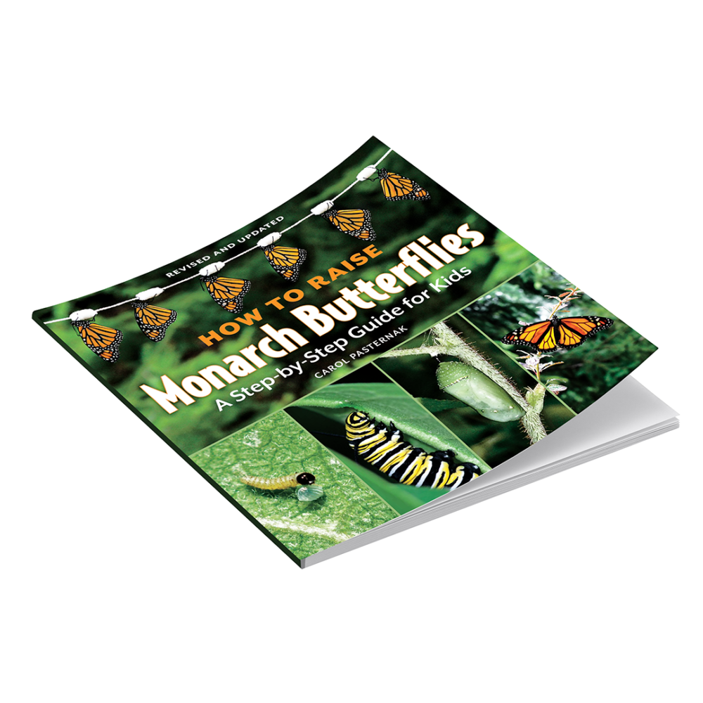 How to Raise Monarch Butterflies Book Cover