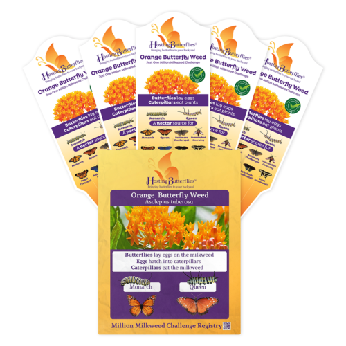 Orange Milkweed Treasure Tag Seed Packs