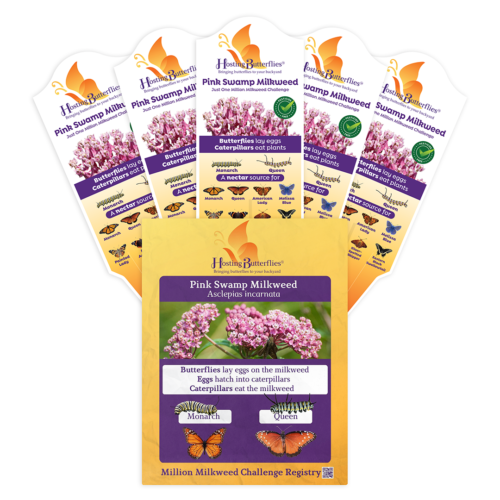 Pink Swamp Treasure Tag Seed Packs