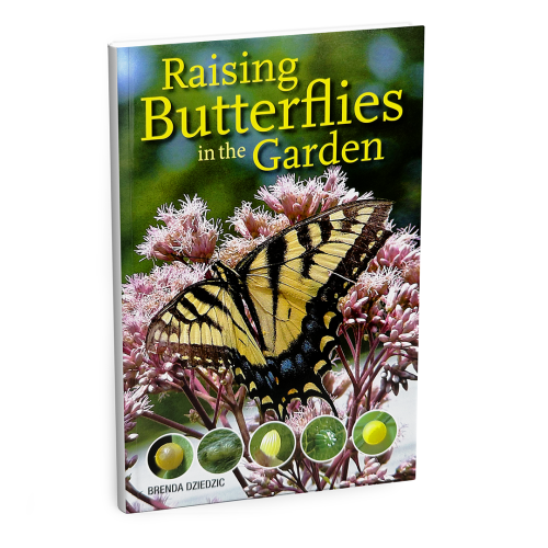 Raising Butterflies in the Garden Book
